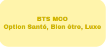 BTS MCO
