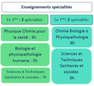 ENSEIGNEMENT DE SPECIALITES