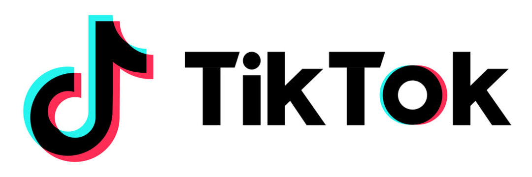 Icone TikTok Site